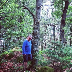 im_wald
