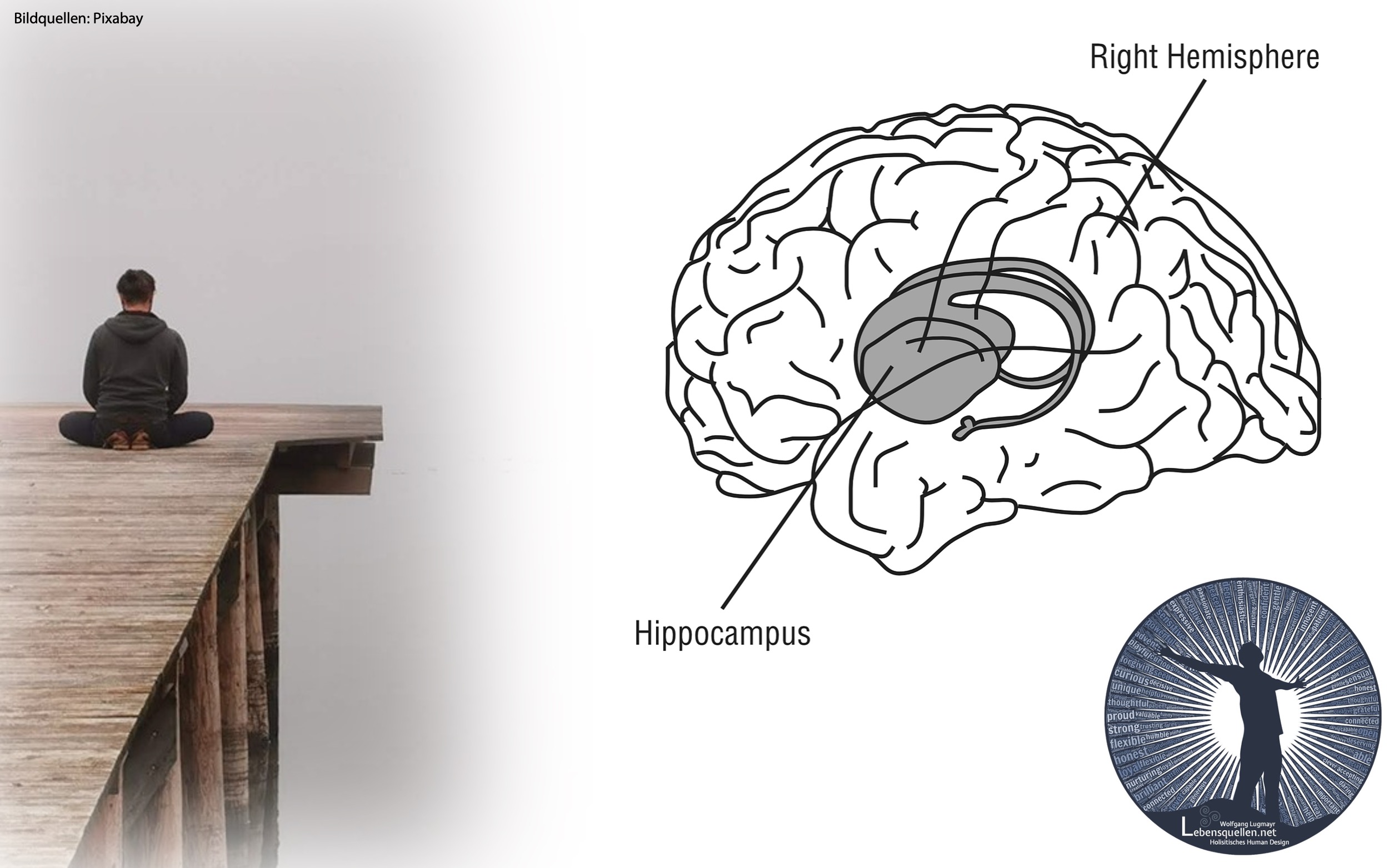 Der Hippocampus-Filter